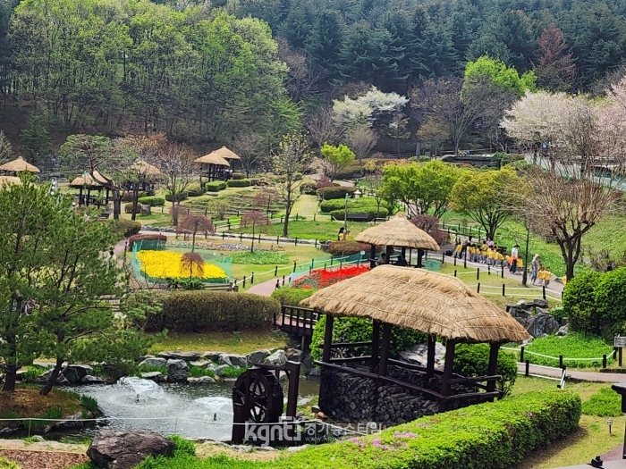 Ưʽ, 2025 񽺷κ    1 8300 Ȯ