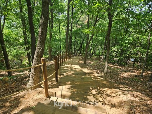 ����Ư�ʽ�, ������ ���ð��� ȭ��� ǳ���� �� ���� ���� ��ȹ ����